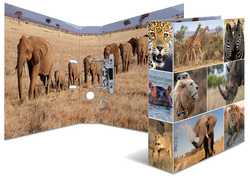 Image 6504021.jpg Image