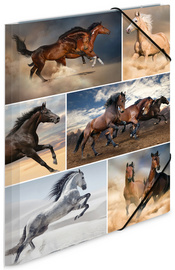 Image 6504056.jpg Image