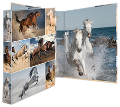 Image 6504160.jpg Image