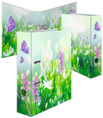 Image 6504431.jpg Image