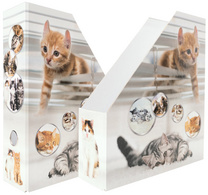 Image 6504517.jpg Image