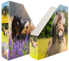 Image 6504518.jpg Image