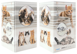 Image 6504521.jpg Image