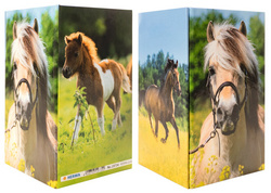 Image 6504522.jpg Image