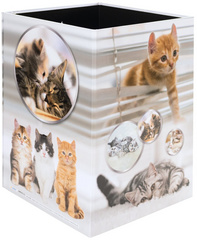 Image 6504525.jpg Image