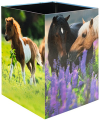 Image 6504526.jpg Image