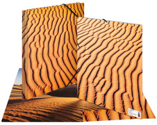 Image 6504529.jpg Image