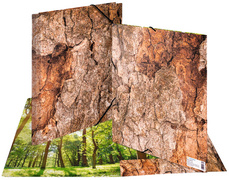 Image 6504531.jpg Image