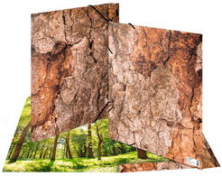 Image 6504536.jpg Image