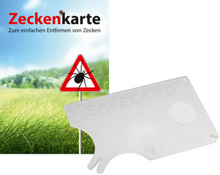 Image 6530374.jpg Image