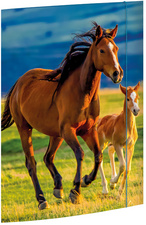 Image 6530518.jpg Image