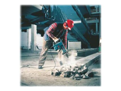 Image 6574d30d-2969-45ef-85cc-ab9bbfe9c7a4.jpg Image