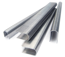 Image 65900031.jpg Image