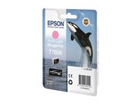 Image 6730a0fc-2b35-49bf-8e8a-ff9105aefa88.jpg Image