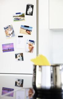 Image 67900196_6221297656.jpg Image