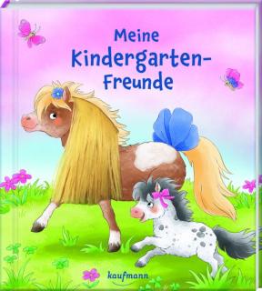 Meine KiGafreunde Ponys Mähne
