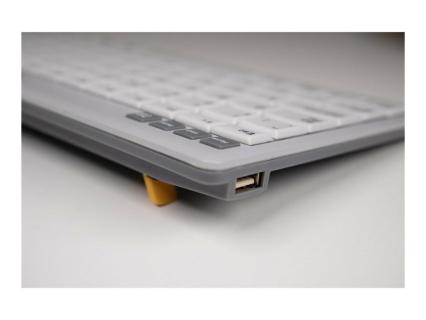 Image 685c0b72-c2a4-4dde-a2d8-c29fb7da0b88.jpg Image