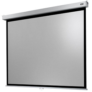 celexon Rolloleinwand Professional Plus 4:3, 220 x 165 cm Projektionsfläche