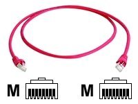 Image 6f11e5e3-7a2c-43e4-a4ad-2911945d55dc.jpg Image