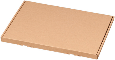 Großbriefkarton A4, portooptimiert, braun, Innenmaß: 350 x 250 x 20 mm