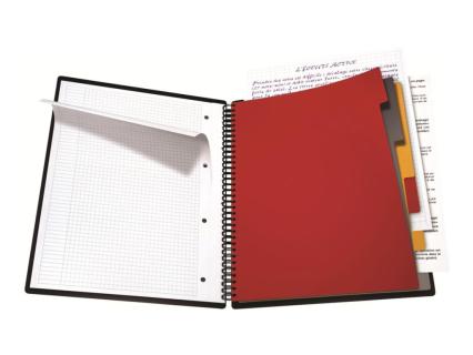 Image 71e115d6-70d0-4842-8969-3183fea89581.jpg Image