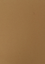 pavo Einbanddeckel ECO, DIN A4, sand