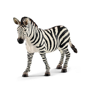 Zebra Stute, Nr: 14810