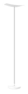ALBA LED-Stehleuchte "LEDCUP", weiß