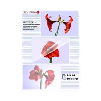 Image 7533ae17-d6ed-405b-89e1-17f20169d99f.jpg Image