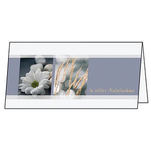 Image 777904.jpg Image