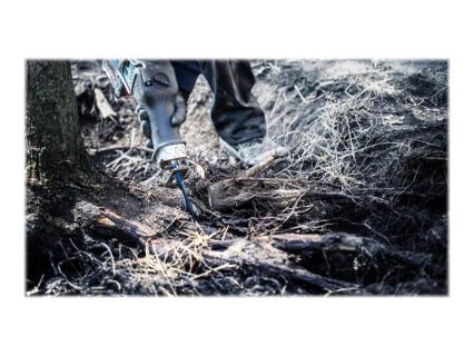 Image 7851c29c-b2fe-4c95-a483-7fda16ef39f4.jpg Image