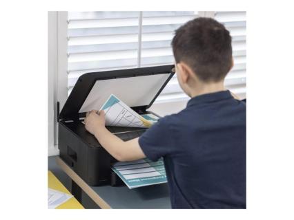 Image 785b89bf-124f-4aef-8e6e-024914be3b27.jpg Image