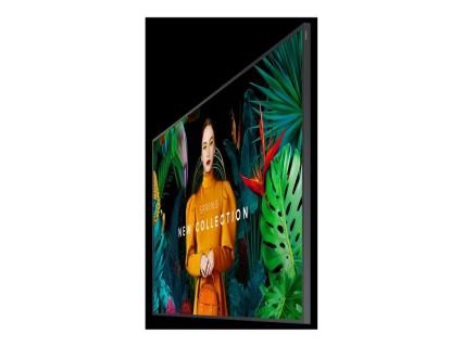 Image 78e954d7-b15b-4f62-aafd-fa17241d5717.jpg Image