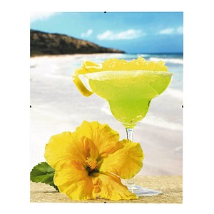 Image 790071.jpg Image