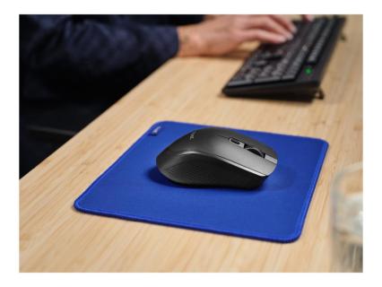 Image 79c2e227-31d8-4ca2-8fba-cd49094a1593.jpg Image