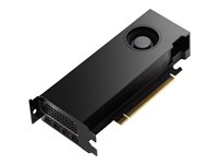 Image 7d2c4b2c-04e2-4a65-8103-24437e893b95.jpg Image