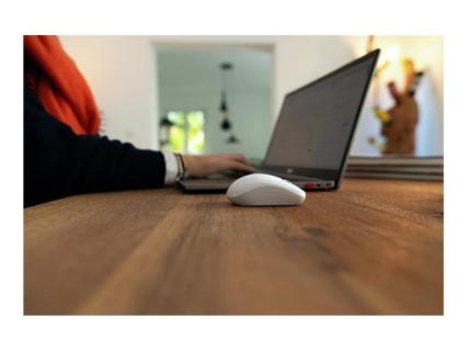 Image 7d82241b-1389-471d-992d-c100ffd118b1.jpg Image