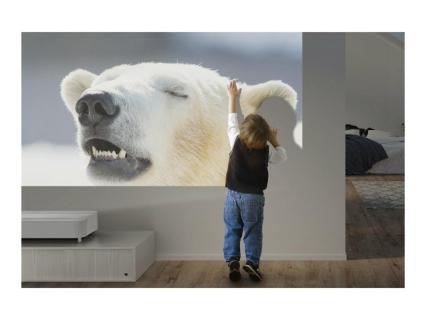 Image 7ef9f19f-9b1f-4fd4-aa9a-1dd6cd9fe560.jpg Image