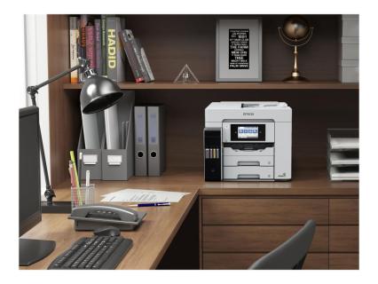 Image 81309986-0608-4c5e-a4f8-3180e886b195.jpg Image