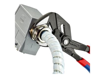 Image 817dd549-8e13-4803-8461-addc6cfc04b3.jpg Image