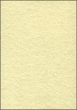 Image 8201052.jpg Image