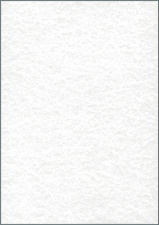 Image 8201057.jpg Image