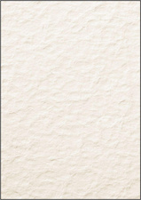 Image 8201310.jpg Image