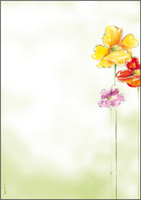 Image 8203359.jpg Image