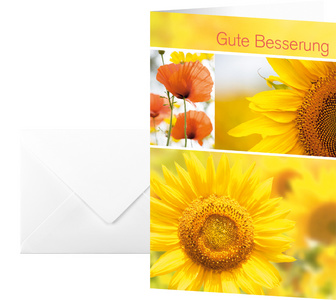 Image 8203477.jpg Image