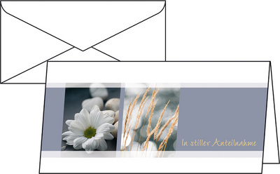 Image 8203482.jpg Image