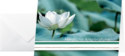 Image 8203668.jpg Image