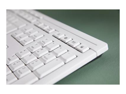 Image 82314ecd-6090-42de-a5c6-376cd625e960.jpg Image