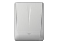 Image 82e2490a-385f-45a0-b12a-f4937304f822.jpg Image