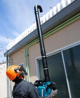 Image 82f7eeb20811d3cf175d6d5001e4852f.jpg Image